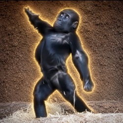 Mobi The Gorilla (MOBI) logo
