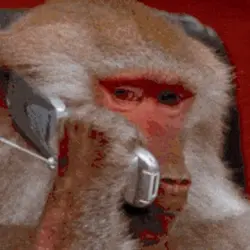 Monke Phone (MONKEPHONE) logo