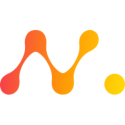 NetMind Token (NMT) logo