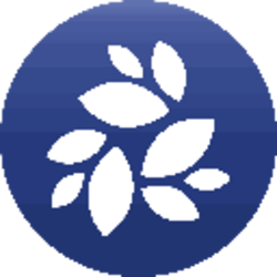 NKN (NKN) logo