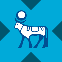 Novo Nordisk xStock (NVOX) logo
