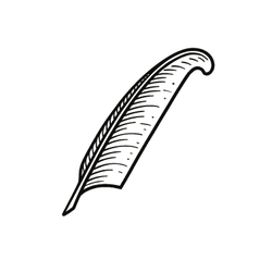 Nuance (SN23) logo