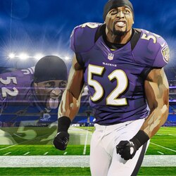OFFICIAL RAY LEWIS (FIT) logo