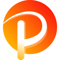 PER Project (PER) logo