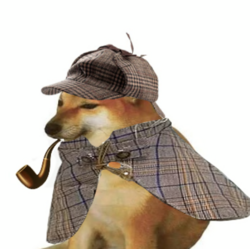 pipedog (PIPEDOG) logo