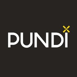 Pundi X (PUNDIX) logo