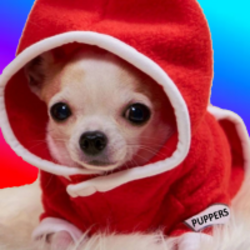 PUPPERS (PUPPERS) logo