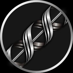 Railgun (RAIL) logo