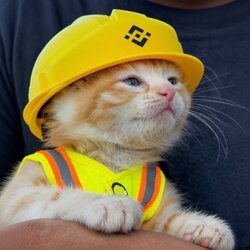 施工猫 (Construction Cat) (SUE) logo