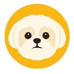 Shih Tzu (SHIH) logo