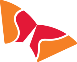 SK Hynix (Backpack Securities) (SKHY) logo