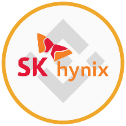 SK Hynix (bStocks Tokenized Stock) (SKHYB) logo