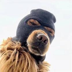 Ski Mask Dog (SKI) logo