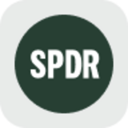 SPDR S&P 500 ETF Trust Tokenized Stock (Reality) (RSPY) logo