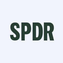 State Street SPDR Portfolio S&P 500 ETF ST0x (WTSPYM) logo