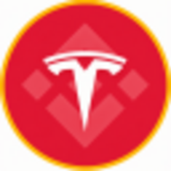Tesla (bStocks Tokenized Stock) (TSLAB) logo