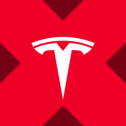 Tesla xStock (TSLAX) logo