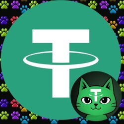 TetheCat Bridged USDT (USDT.C) logo