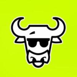 The Bull (BULL) logo