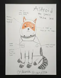 TheSpaceShibaInu (ASTROID) logo