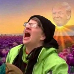 Trump Derangement Syndrome (TDS) logo