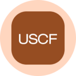 United States Oil Fund (Ondo Tokenized) (USOON) logo