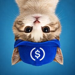 UpSideDownCat (USDC) logo