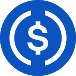 USDC (USDC) logo