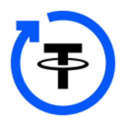 USDT yVault (YVUSDT) logo