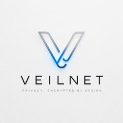 Veilnet (VEILNET) logo
