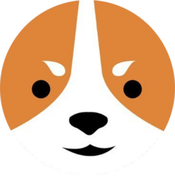 Welshcorgicoin (WELSH) logo
