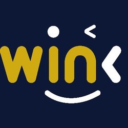WINkLink BSC (WIN) logo