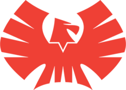 Wonderman Nation (WNDR) logo
