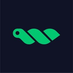 WORM (WORM) logo
