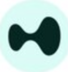 Wormhole Bridged HYPE (HYPE) logo