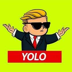 YOLO (YOLO) logo