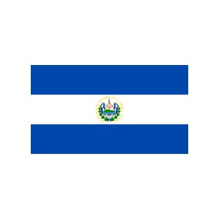El Salvador Bitcoin Holdings