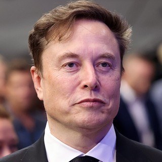 Elon Musk Stock Portfolio