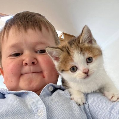 Hasbulla's Cat 