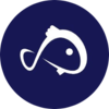 Koii Network