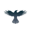 RAVEN