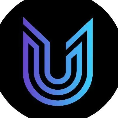 Ubik Capital
