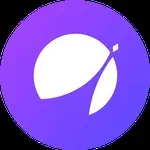 APX Finance logo