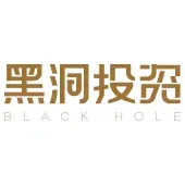 Black Hole Capital logo