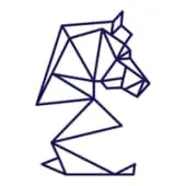 Digital Strategies logo